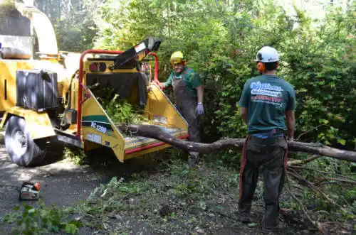 tree services Smith River